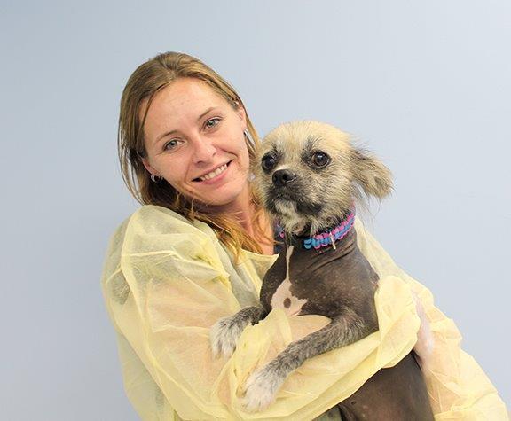 Ontario SPCA Animal Care staff member with the Chinese Crested type dog #4
