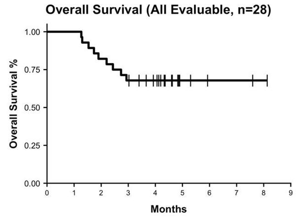 Overall Survival (n=28, median follow-up 4.3 months)  