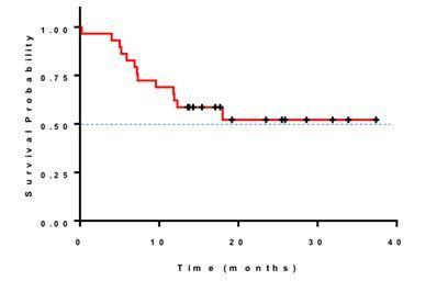 Survival probability in first-line BPDCN patients who received ELZONRIS (12mcg/kg/day) in Stages 1, 2 and 3