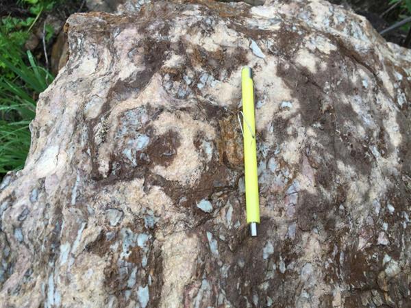 Figure 1 Photo of pale green apatite and pyrochlore in calcio-carbonatite vein in boulder from Site #28.