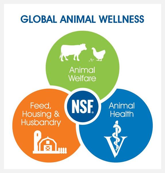 NSF Global Animal Wellness Standards encompass key elements with complex overlaps and interactions.
