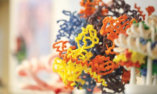 A model of molecules used by Concordia University Wisconsin professor Dr. Daniel Sem. 