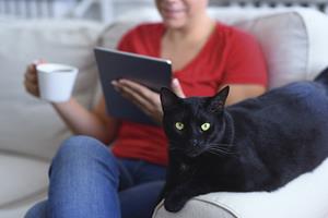 Women on the sofa with black cat