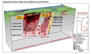 Longitudinal Section: Sugar Zone, Middle Zone and Wolf Zone