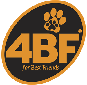 4BF (For Best Friend