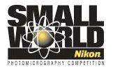 smallworld logo.jpg