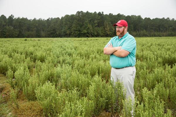 North Carolina stevia farmer John Fleming looking at his Starleaf stevia crops. https://youtu.be/dnb3uS3JpMo