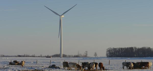 Danielson _ Adams Wind Farms2