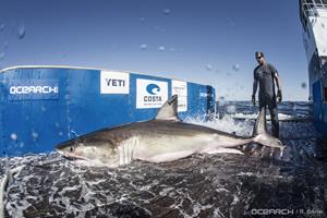 0_int_03032017_OCEARCH_Lowcountry_00617.jpg