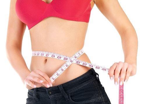 Fast Weight Loss Diet Plans
