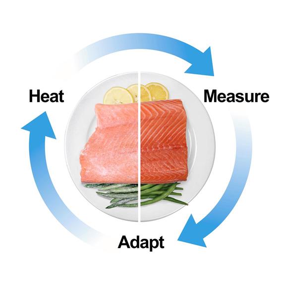 Heat-Measure-Adapt-RF-Defrost_HR