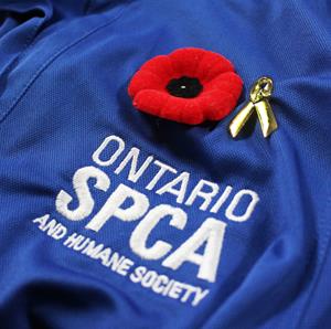 Animals in War pin - Ontario SPCA