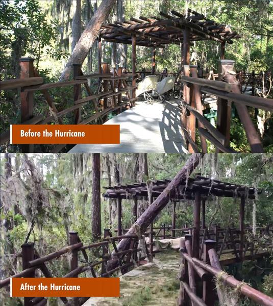 Before and After photos take of YBC’s private estate boardwalk located in Odessa, FL approximately 35 miles west of Hurricane Irma’s Path through central Florida.