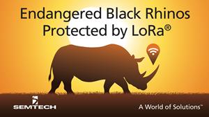 Semtech LoRa Technology Tracks Location of Endangered Black Rhinos in Africa