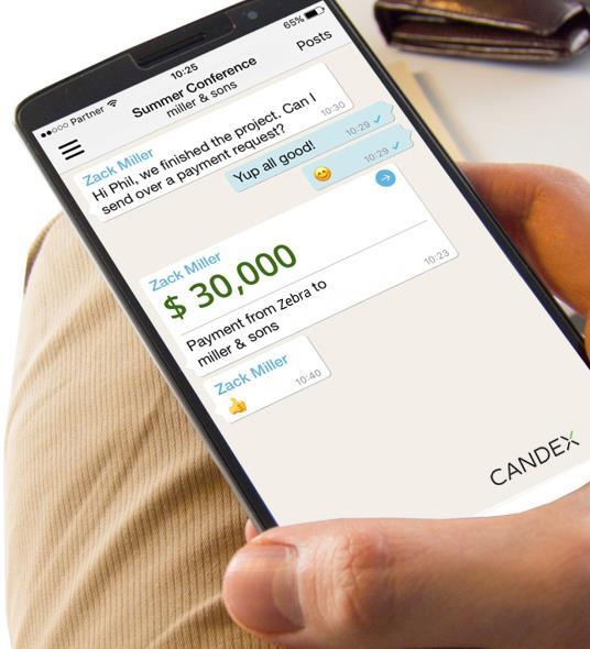 Candex makes enterprise payments easy