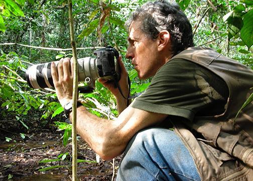 Dr. Carlos Drews in the field taking photographs in Dzanga-Sangha Reserve in Central African Republic. Photograph courtesy of Dr. Carlos Drews.