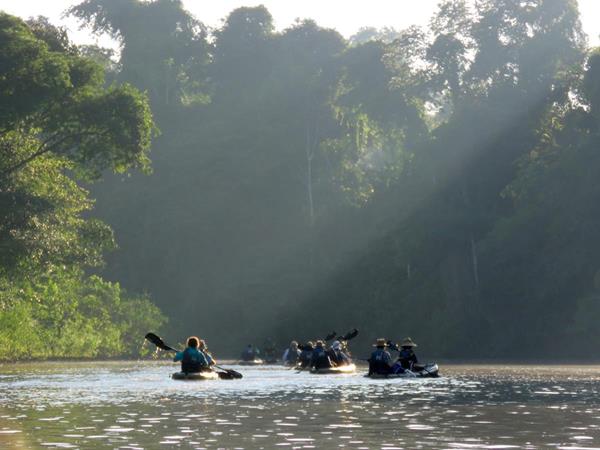 International Expeditions guests kayak on a tributary of the Amazon River. 
