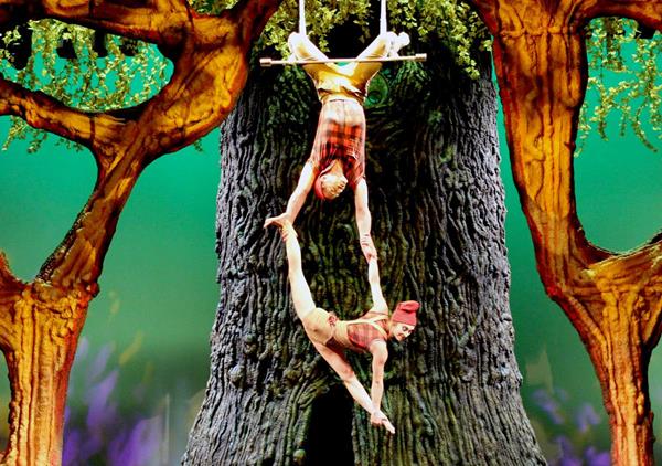 Cirque Canadien: Guests will be mesmerized by a magical performance of acrobats and aerial artists as they take you on a journey through the seasons of Canada.