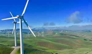 Photo of Leeward Renewable Energy facililty