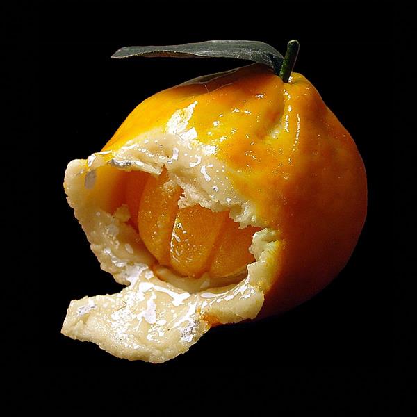"Marzipan Tangerine – Sicily" (2002/2009)
by Nobel laureate Wally Gilbert
36" x 36" C-print face-mounted on plexiglas, edition of three from the Marzipan Series 
Now showing through April 9, 2018, at LabCentral Gallery 1832 in Kendall Square, Cambridge, Massachusetts