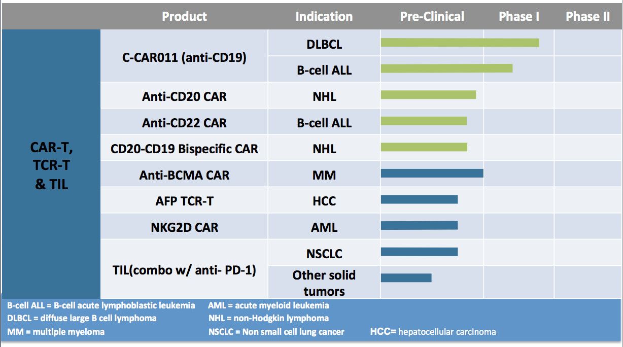 Current Immuno-Oncology Pipeline of Targeted Indications and Potential Therapies