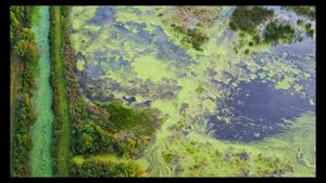 Andy Mann photographs an algae bloom at the edge of Lake Erie