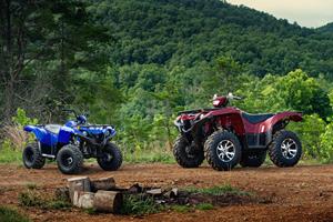 Yamaha Grizzly Family