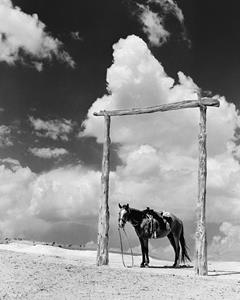Navajo Pony, 1938, as taken by photographer Barry M. Goldwater.