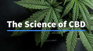 "The Science of CBD" Video Podcast