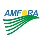 Amfora Logo.jpg