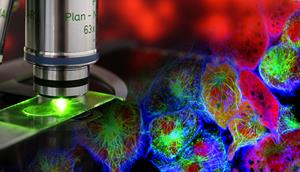 II-VI Introduces ZPS Filters for Fluorescence Microscopy