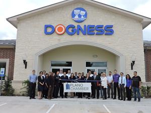 Dogness employees and representatives from the Plano Chamber of Commerce held a ribbon-cutting ceremony to mark the grand opening of the office.